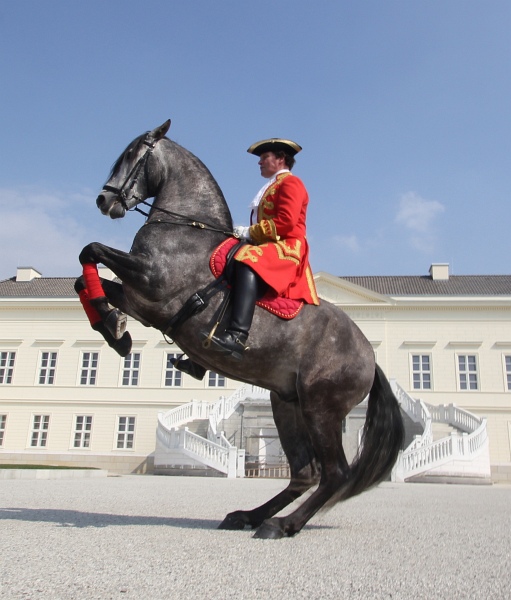 PK_Feuerwerk   042.jpg